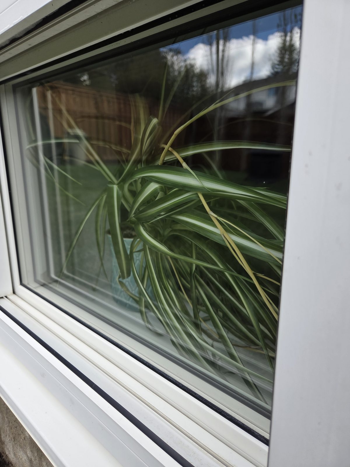 The same window glass after cleaning, perfectly clear