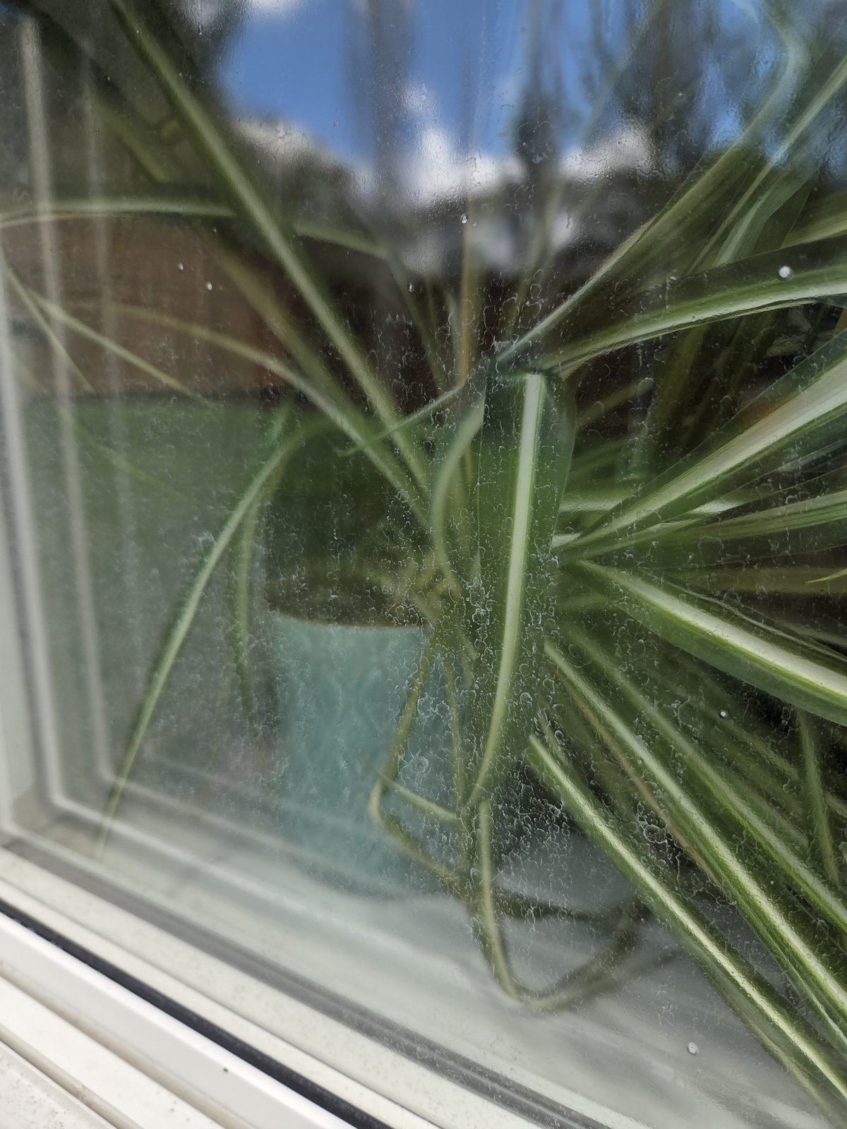 Window glass up close before cleaning, covered in grime and residue